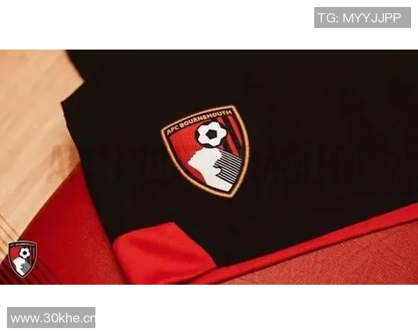 英超球队图标:英超球队的标志与品牌形象 英超球队图标:英超球队的标志与品牌形象